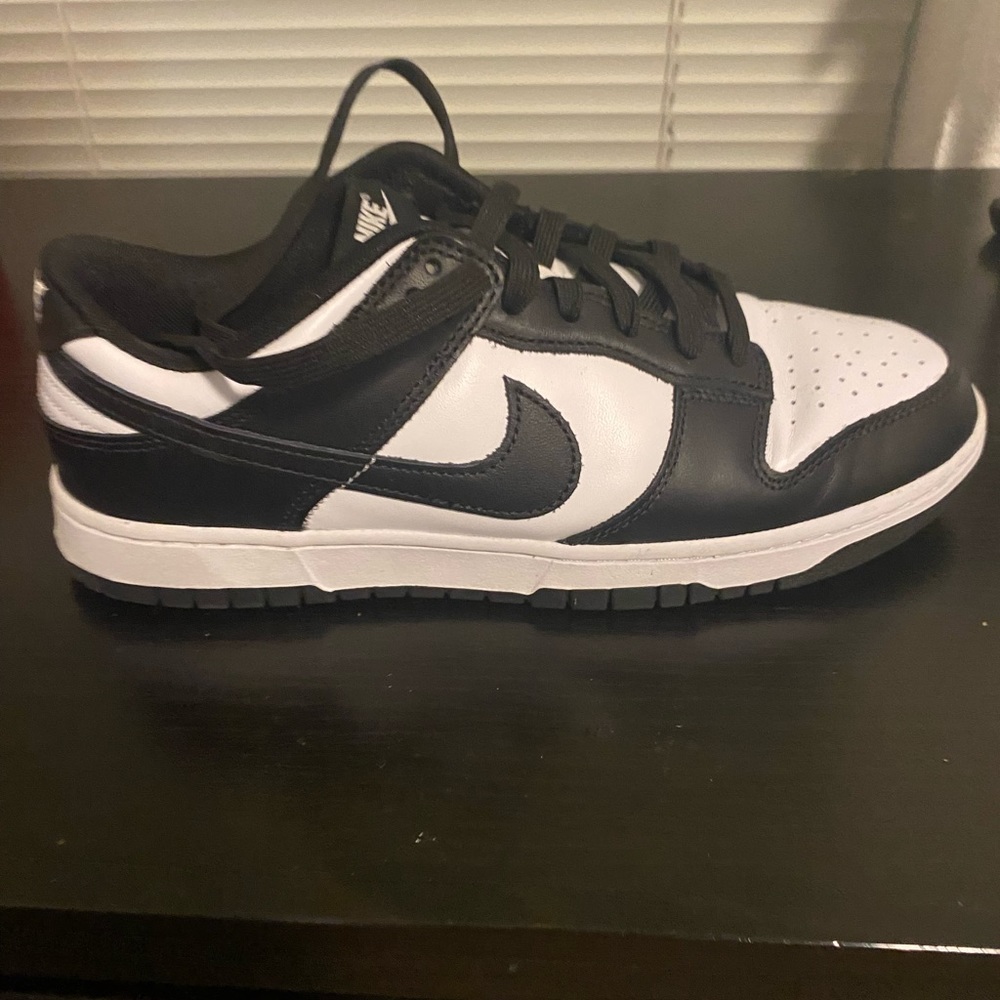 Brand new Nike dunks